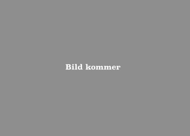 Kent Sörfelt